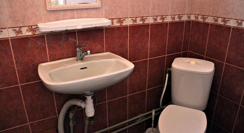 Гостиница Гостевой Дом «Светлана» Солнечногорское