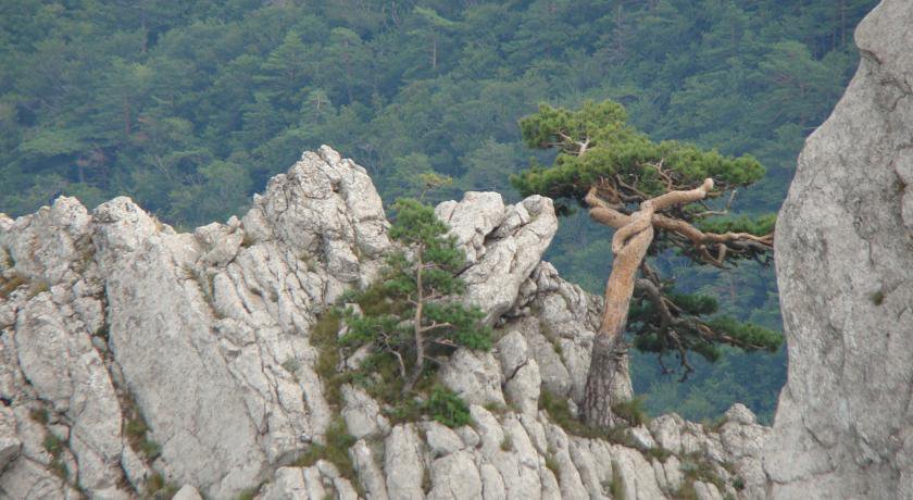 Гостиница Гостевой Дом «Светлана» Солнечногорское