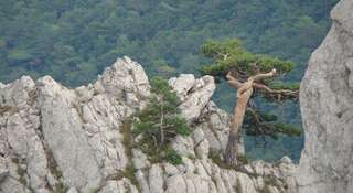 Гостиница Гостевой Дом «Светлана» Солнечногорское Улучшенный двухместный номер с 2 отдельными кроватями-7