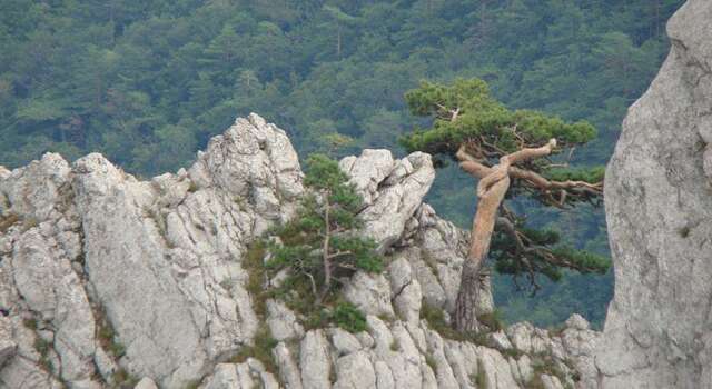 Гостиница Гостевой Дом «Светлана» Солнечногорское-19